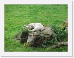 2015-05-25 11.42.14-1 * 4608 x 3456 * (6.52MB)